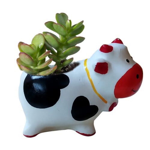 Cow with plant